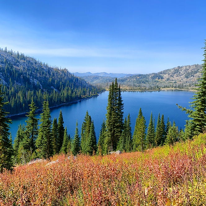 A mountain meadow that slopes to evergreen trees and a river in the background