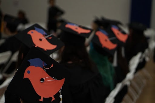 A photo of the top of the mortar boards of a group of linguistics students featuring blue and orange wugs on their caps