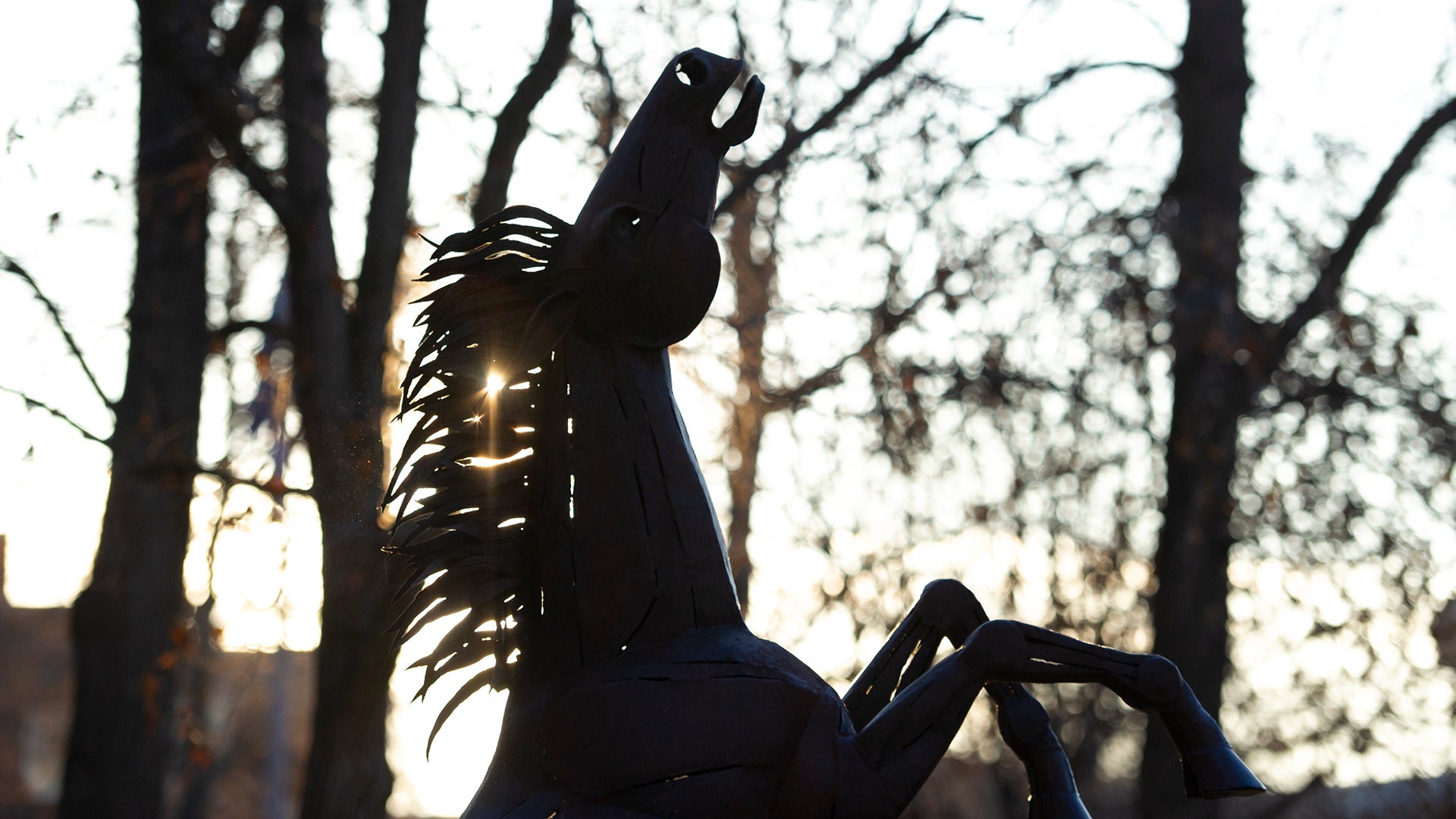 The Bronco horse statue