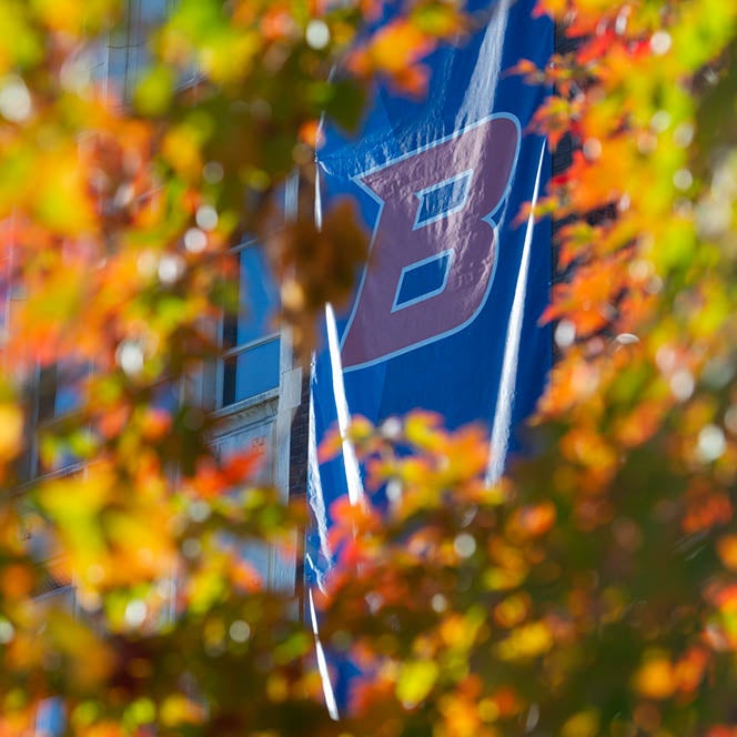 Boise State banner, seen through branches covered in yellow leaves