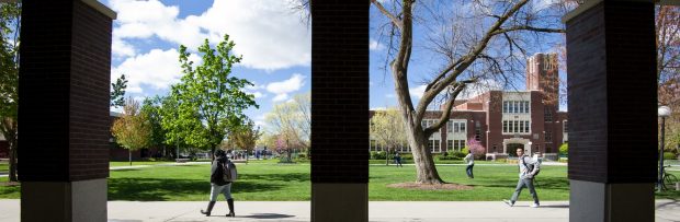 Decorative view from library of students walking and trees
