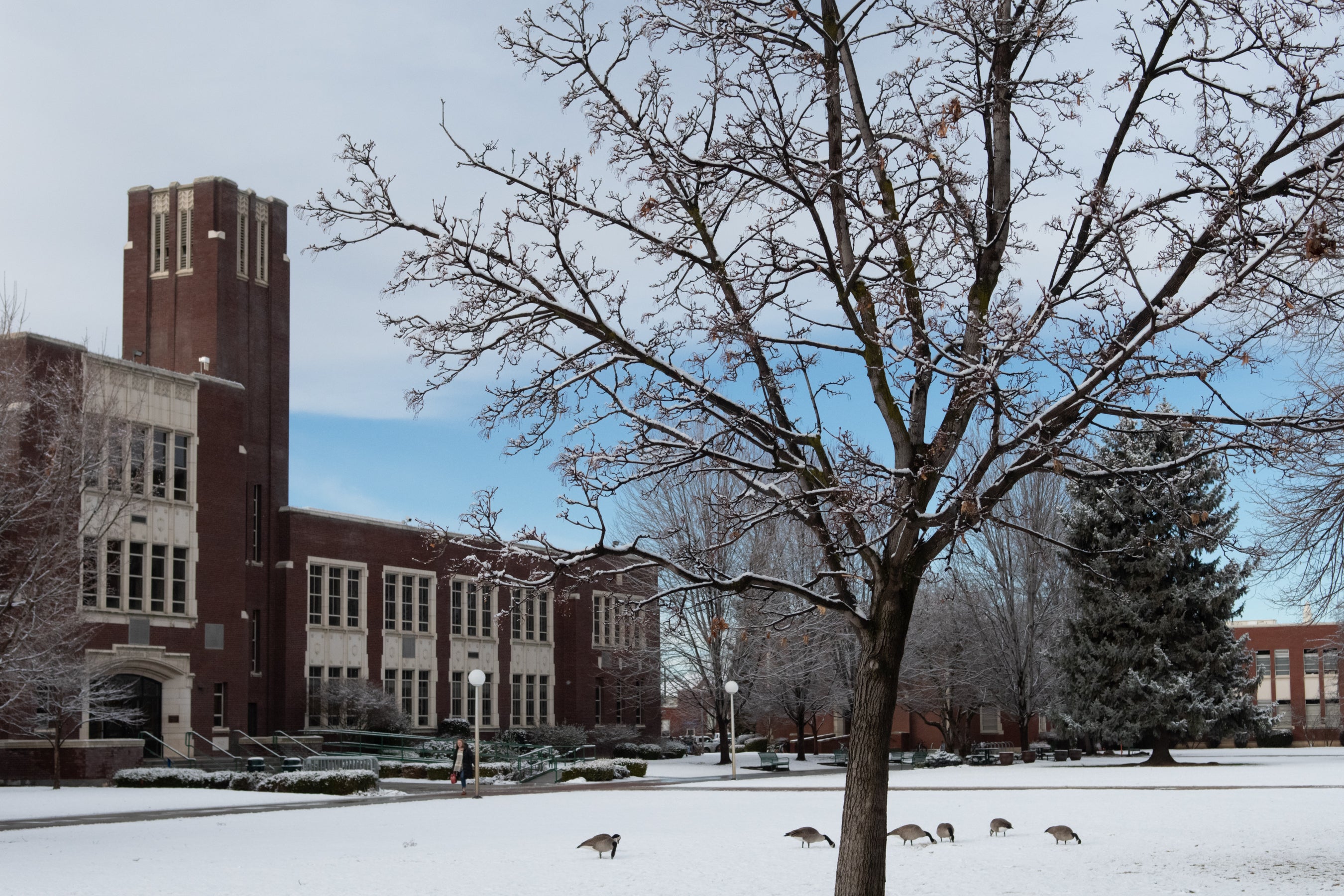 Outside Face Advising Building, Boise State University, in snowy ground with tree in forefront.