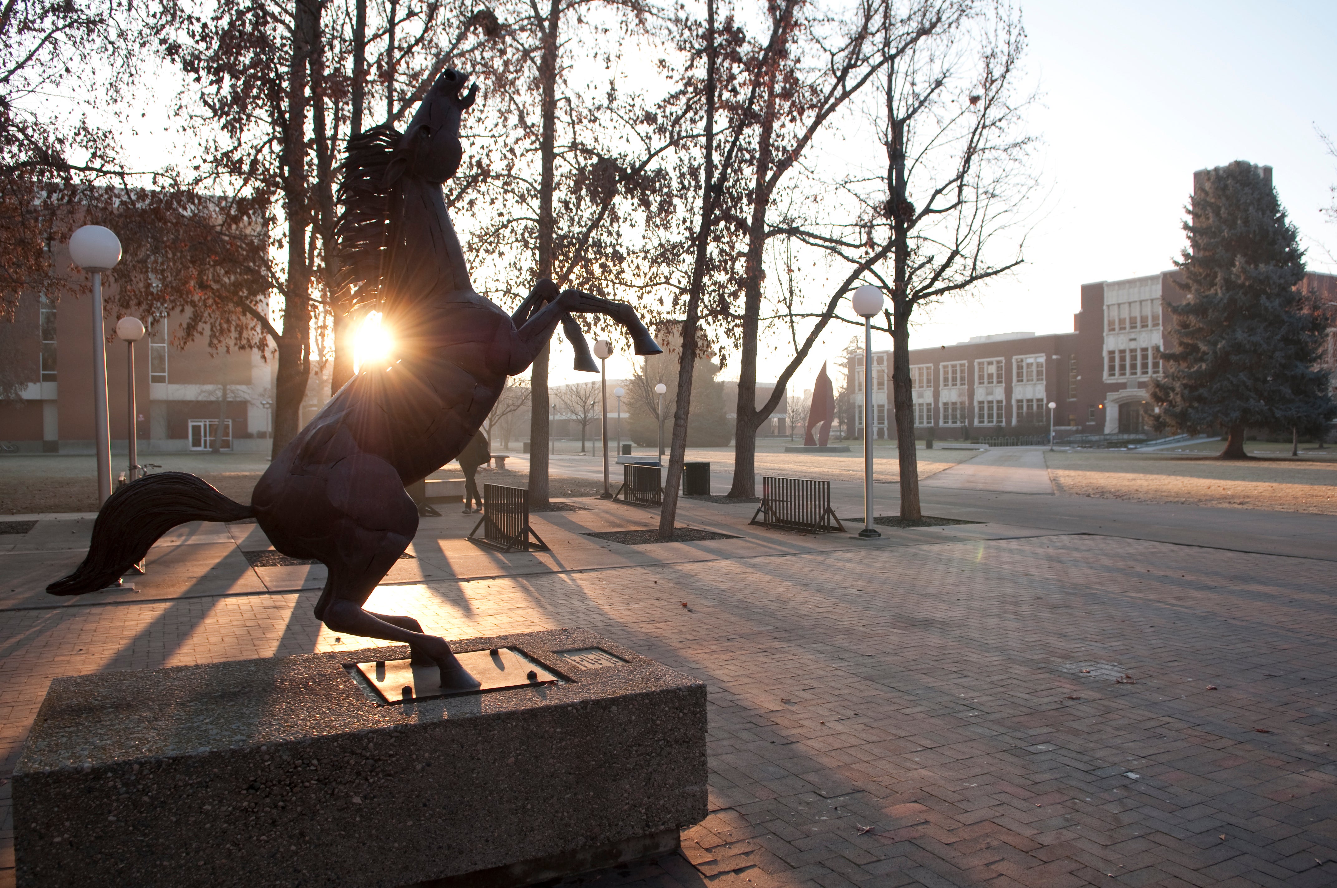 The sun illuminating a sculpture of bronco rising up on its back legs.