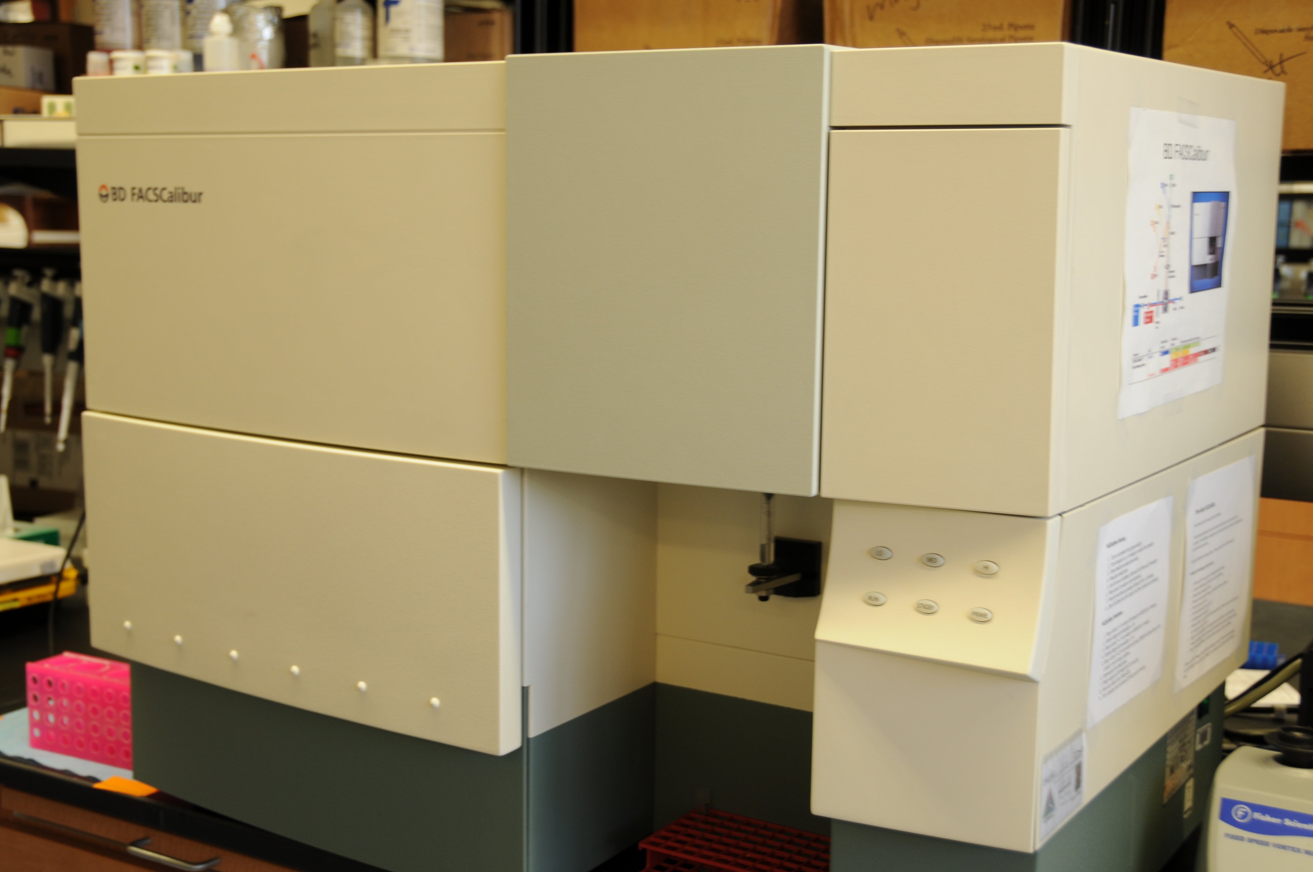 BD FAC5 Calibur machine