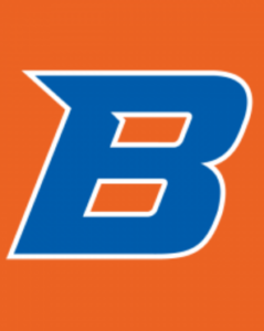 BSU Logo placeholder