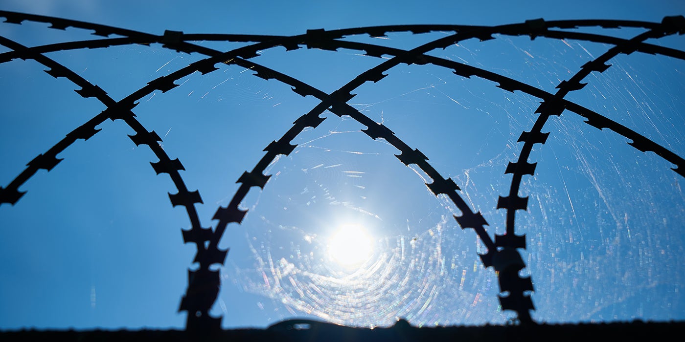 Barbed wire silhouetted against a bright, sunny blue sky