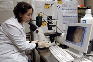 Girl working at a microscope