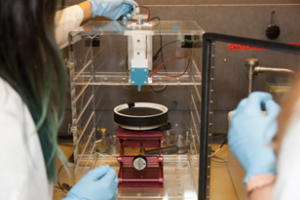 students working in the lab