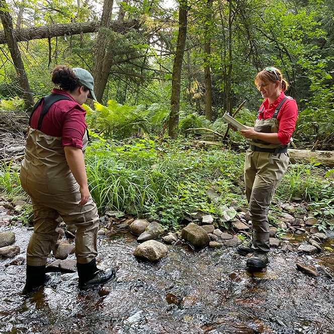 Two women in waders stand in a creek observing rocks and taking notes in the mid afternoon