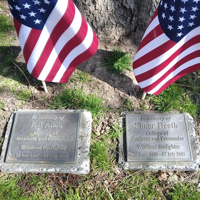 markers under a tree at Riverfront Hall on Boise State campus, American flags placed by visitor