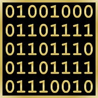 The symbol of The Pledge of the Computer Professional which is a matrix with the word “Honor” encoded in ASCII. The background of the matrix is black, the digits are in gold. The purpose of the symbol is to remind the inductee to always honor their profession through their actions.