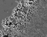 Microscopic image of corrosion.