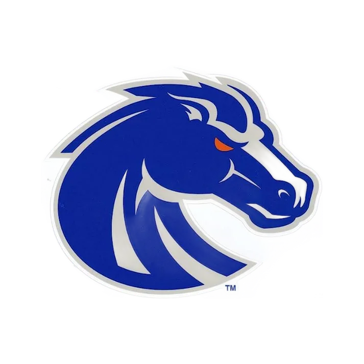 Generic Boise State Bronco head