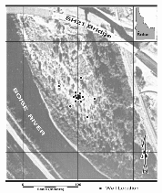 Snake River map showing Swift Bridge, black dot clusters, scale bar, and inset for site context.