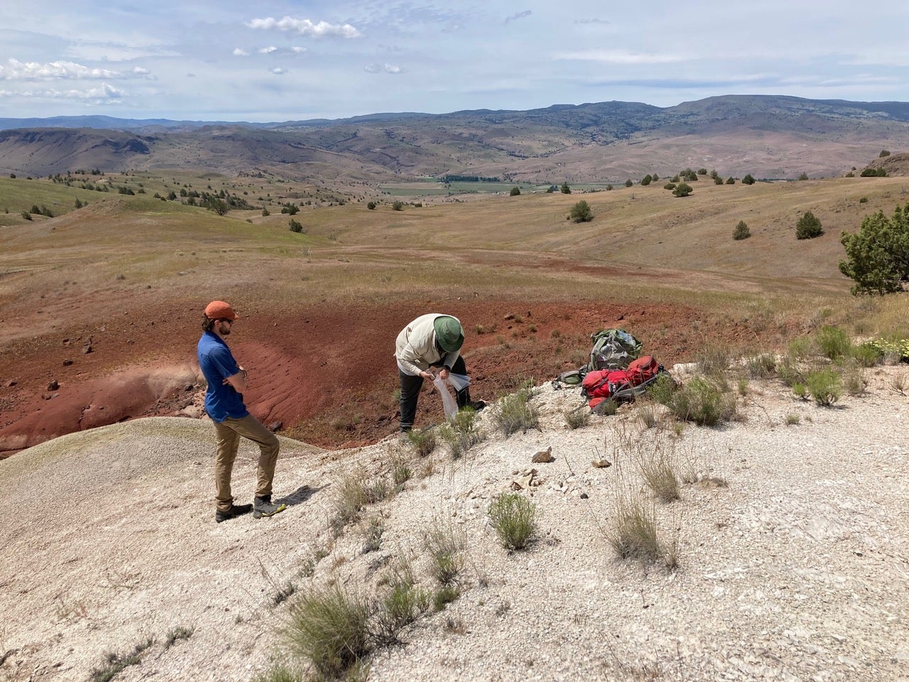 Two researchers collect soil samples. 