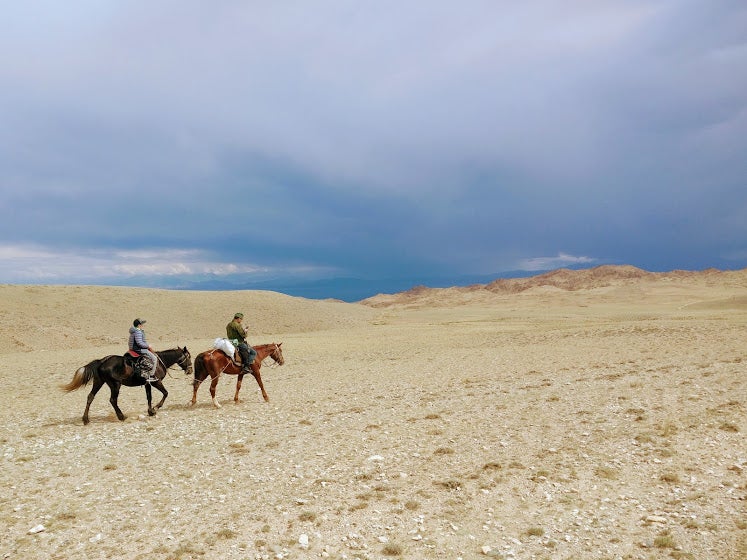People riding horses in a desert