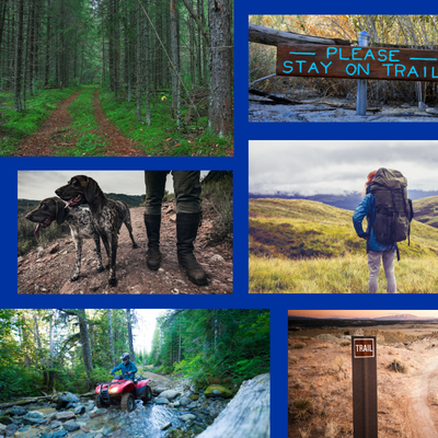 outdoor images collage containing landscapes, hikers, dogs