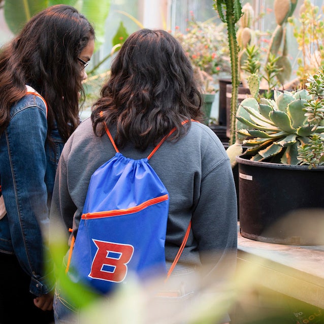 Students examine desert plants in a greenhouse