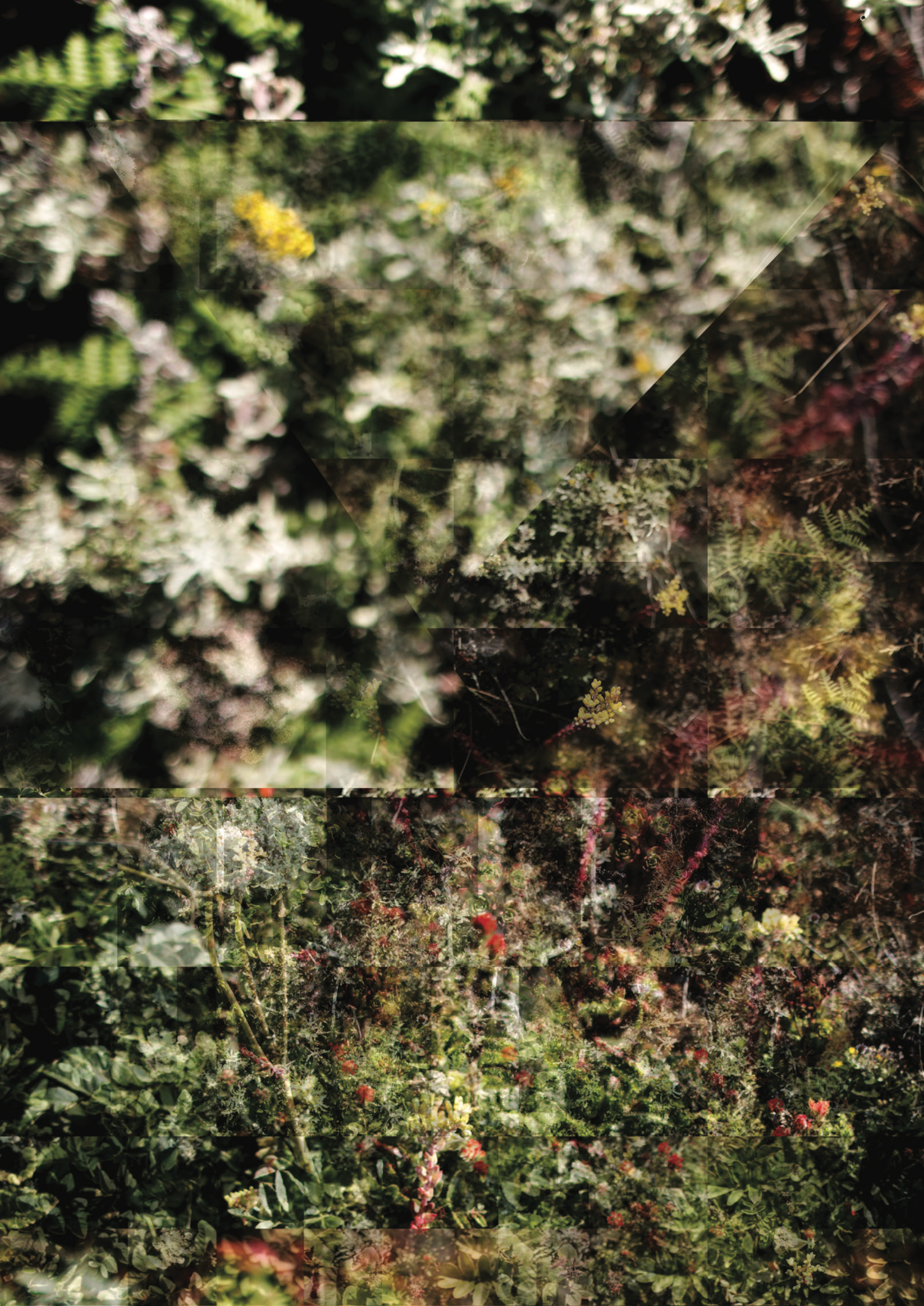fragmented photographs are spliced together to create an abstract image of nature