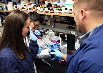 Davidson working in the lab alongside other students 