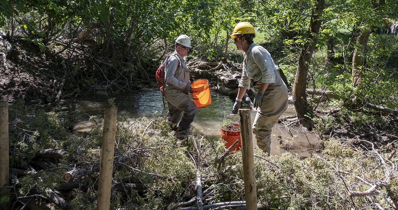 The crew adds mud and grass to the dam.