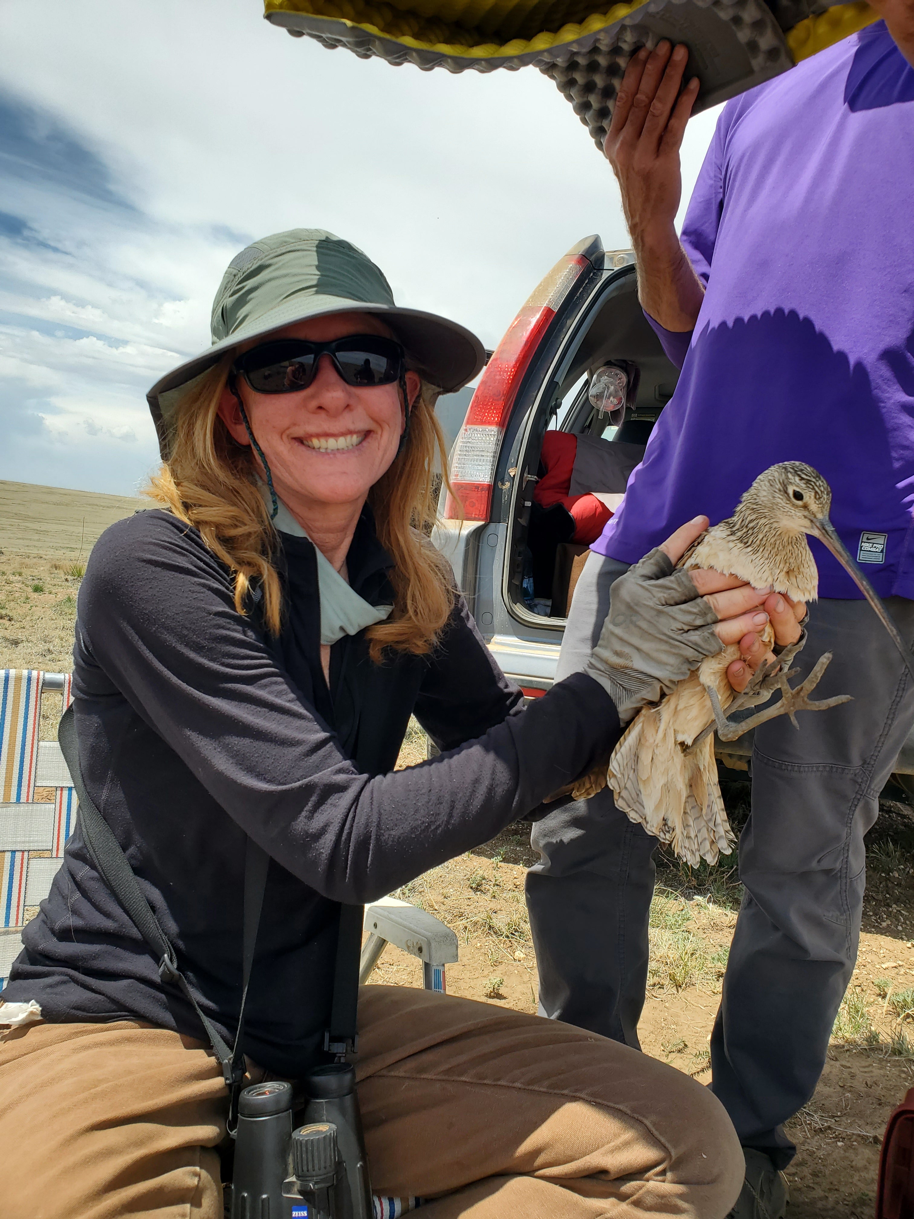 The image shows Kelli sitting on a folding camp chair with a Long-billed Curlew in her hands. A person holds a camping mat above her to provide shade.