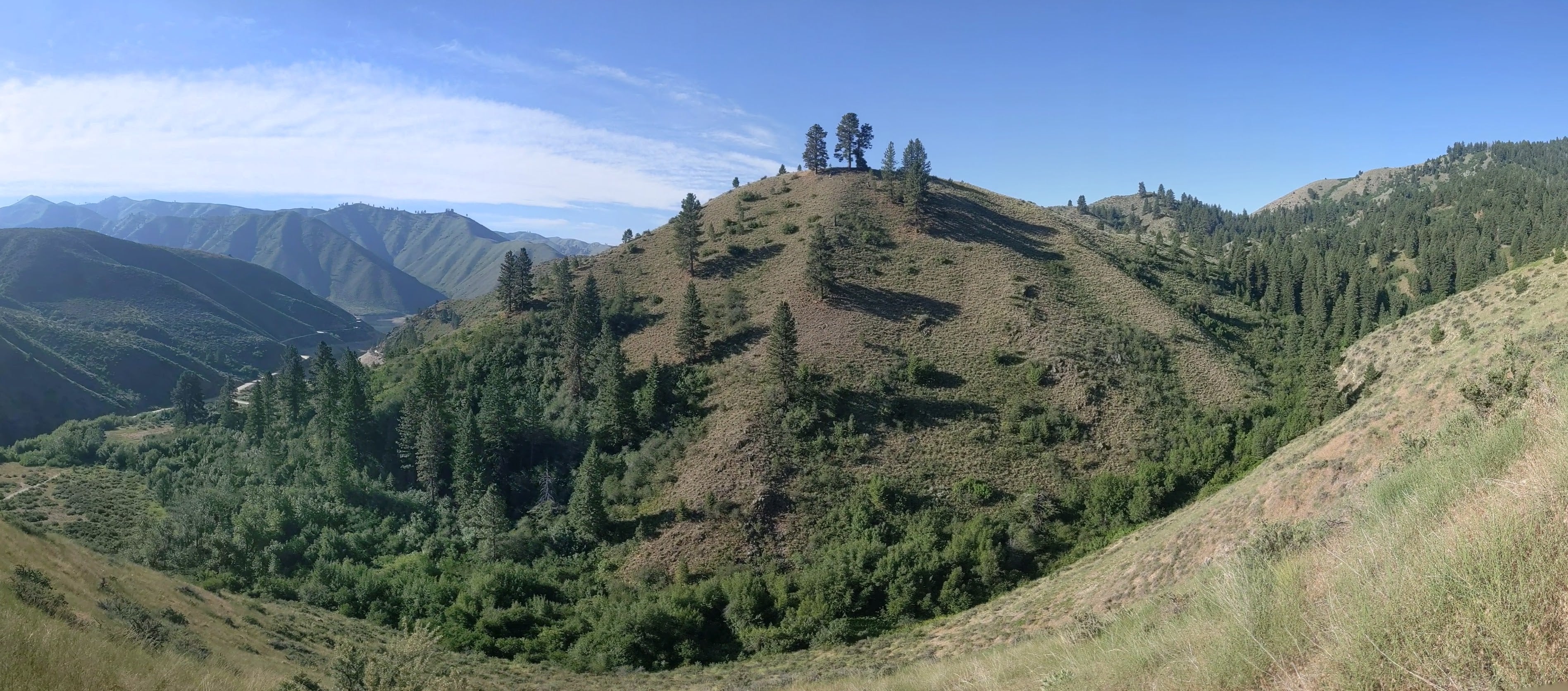 a view of steep open hillsides with some scattered conifer trees