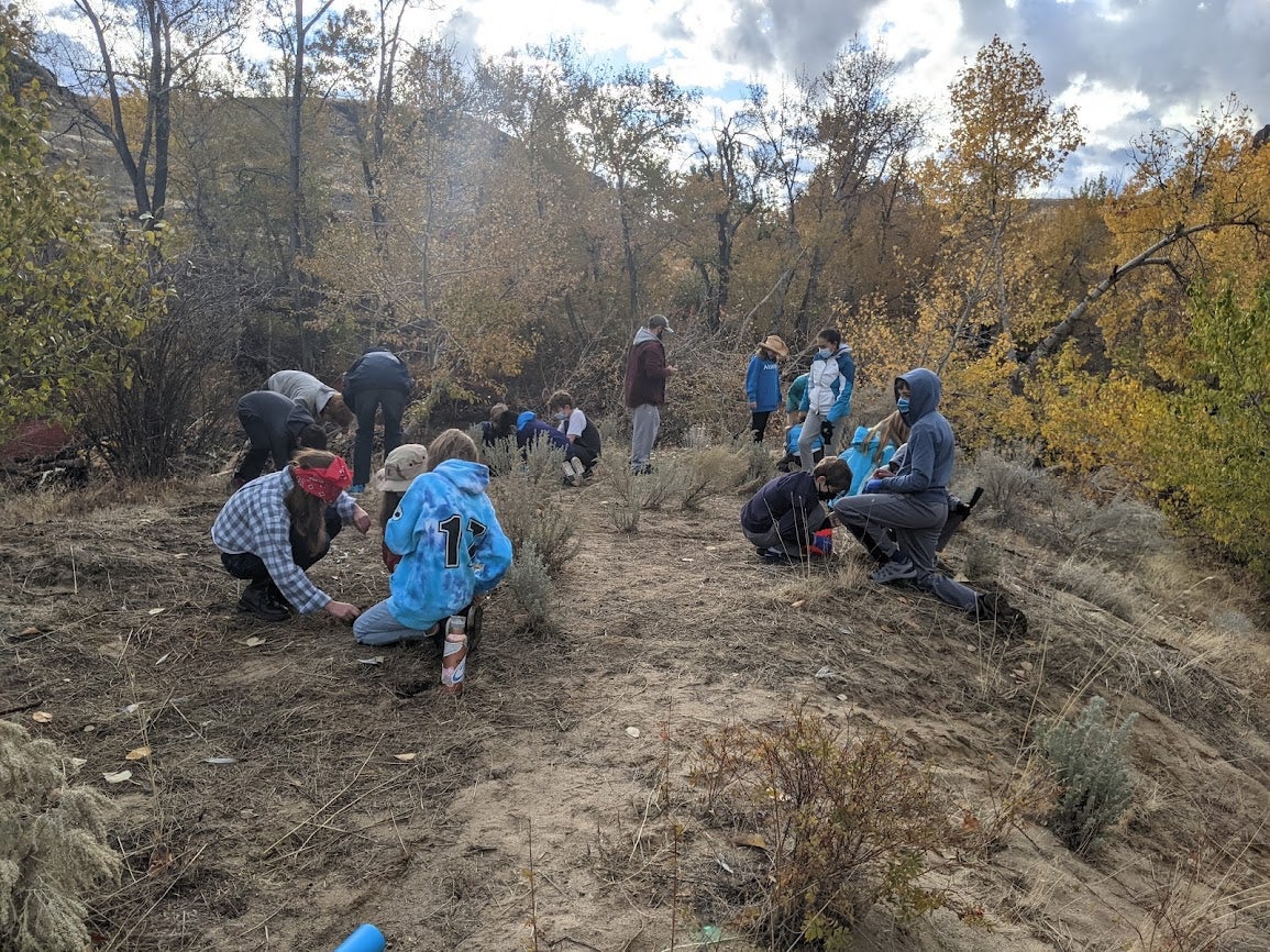 a scattered group of students kneel on the ground, digging holes and planting seedlings