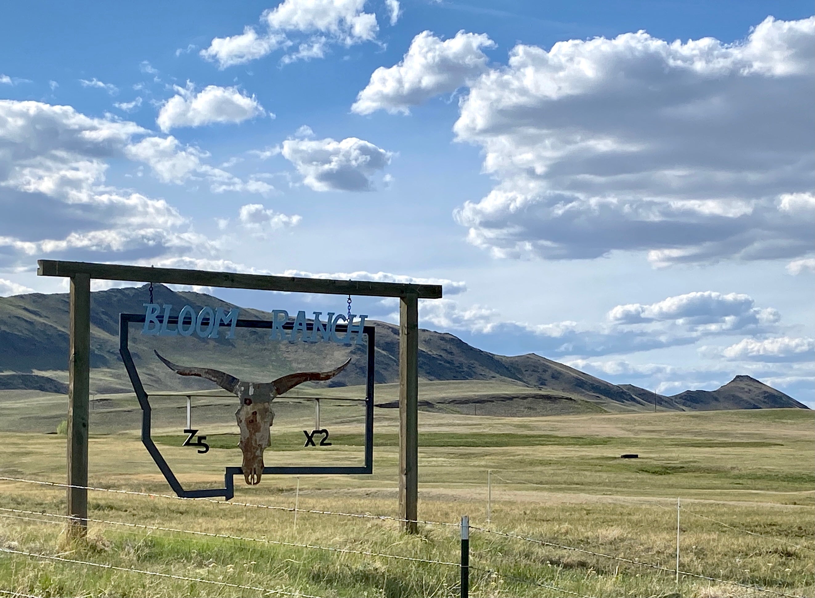 image shows a landscape view with expansive blue sky, rugged hills and grassland. In the foreground is a large metal sign shaped like a longhorn cattle skull and the outline of Montana. The sign says "Bloom Ranch"