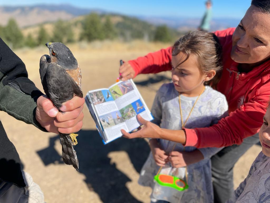 image shows a biologist holding a raptor gently in the hand while 2 small children and their mother use a field guide to help with identification