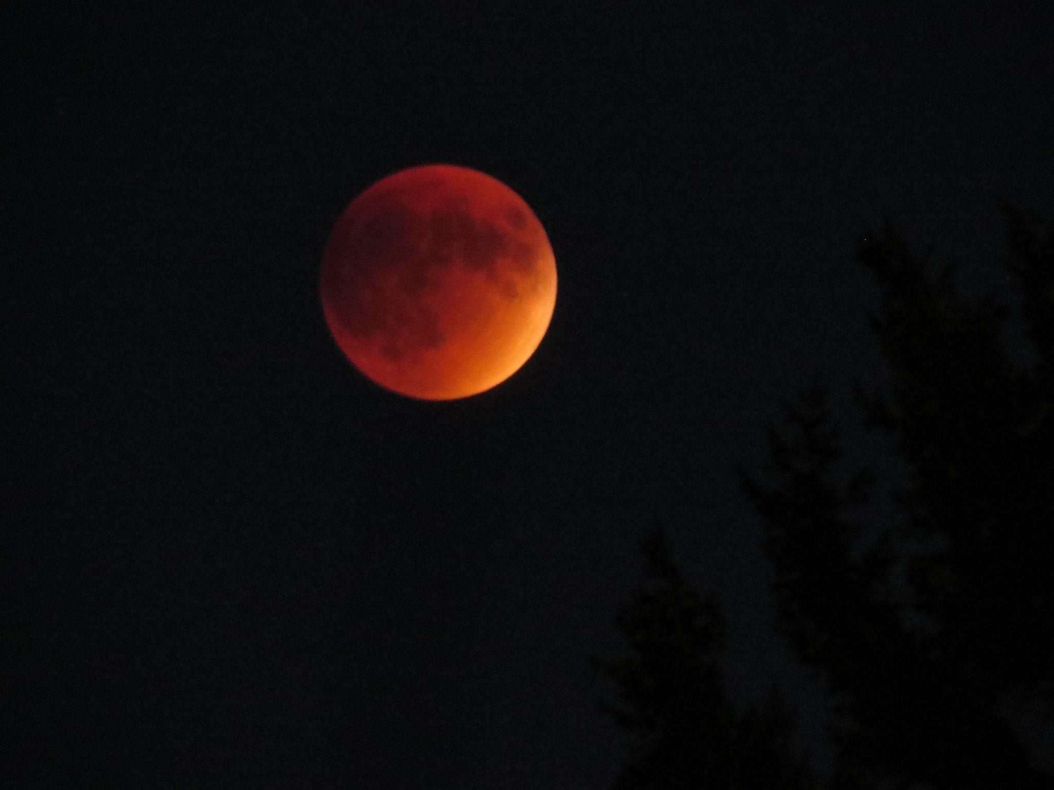 an orange colored full moon in dark sky
