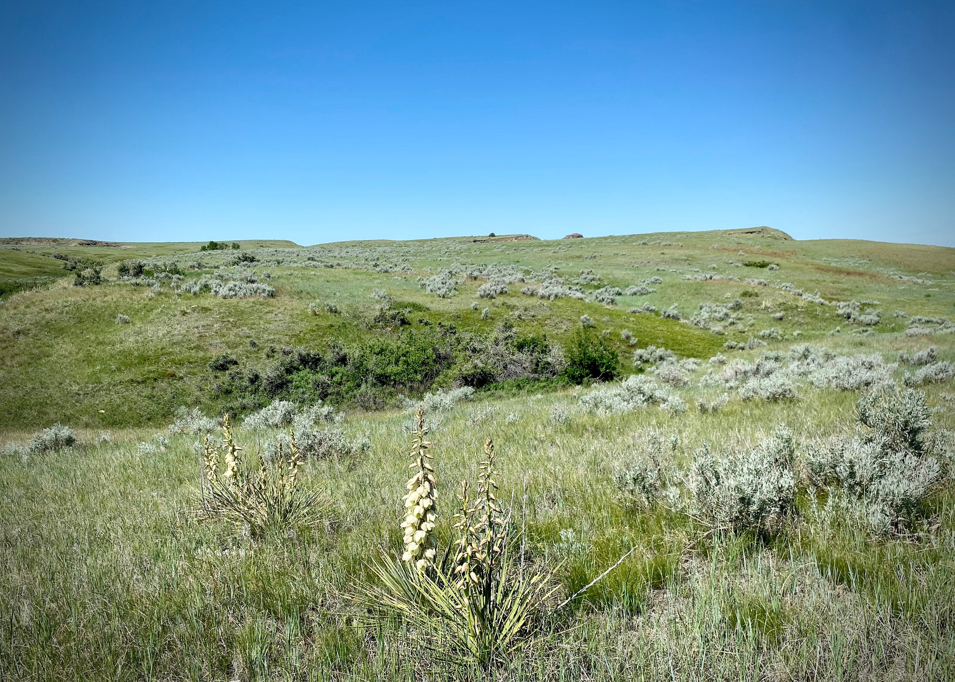 image shows sagebrush and grass covered hillsides slope up and down across the view with a clear blue sky overhead