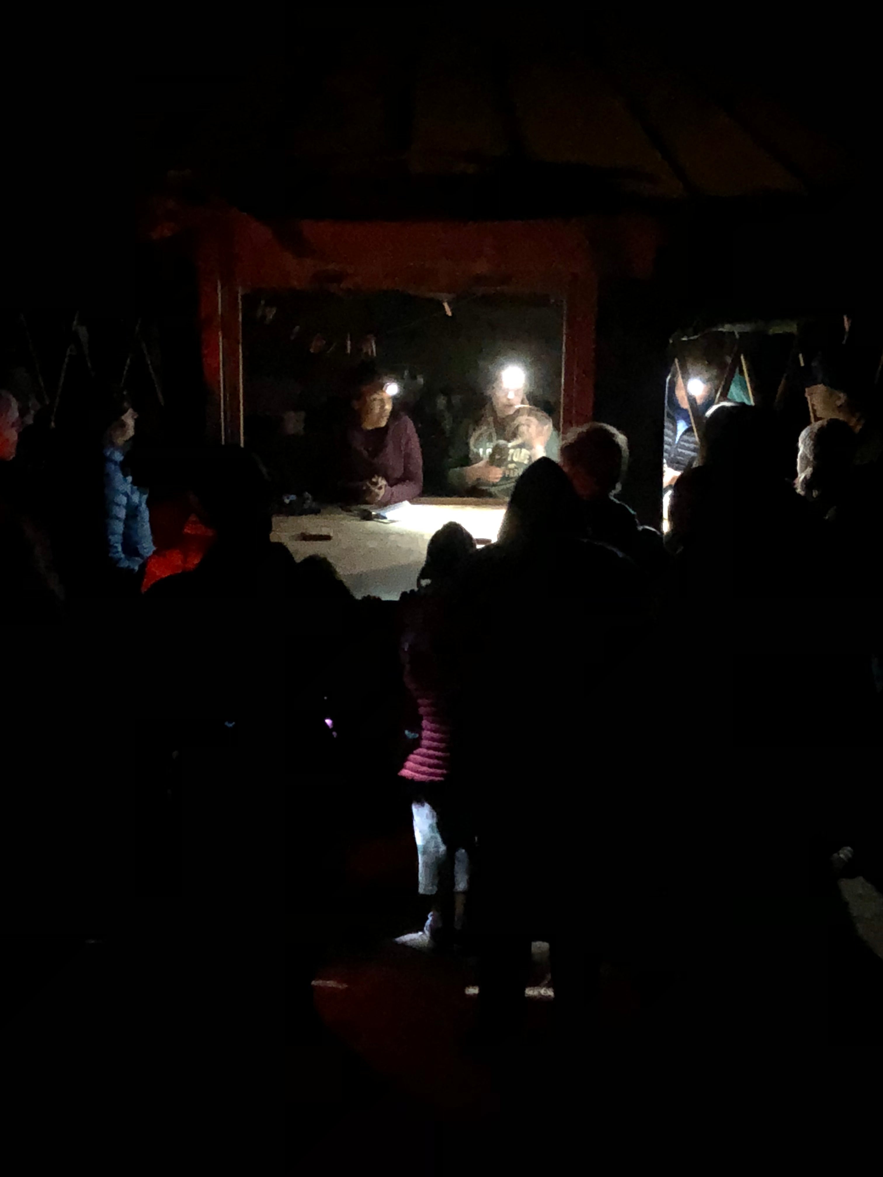 a group of people at night dimly lit by headlamps, watching biologists band an owl