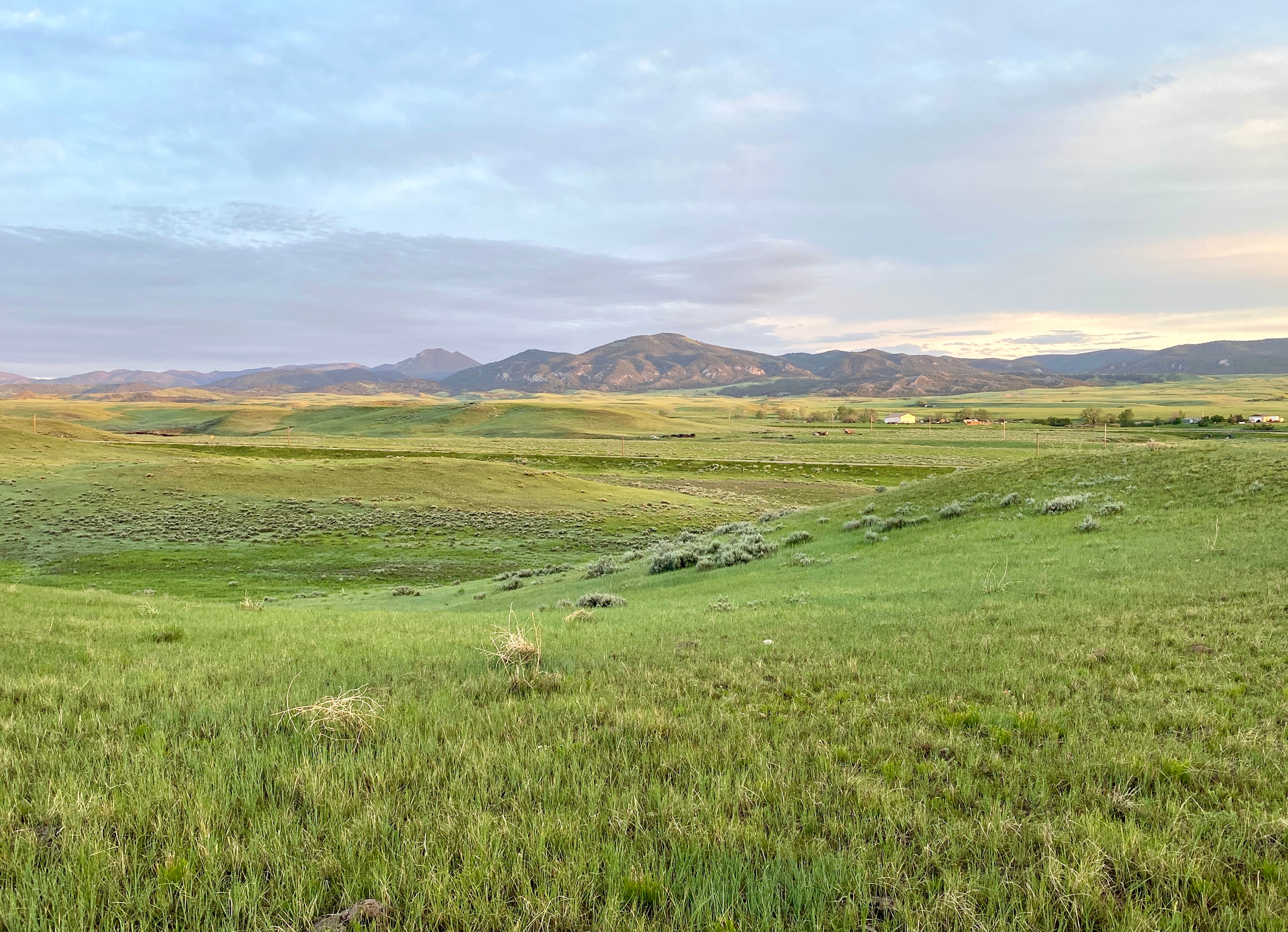 image shows an expansive view of lush grassy hills with sagebrush shrubs. Far in the distance are rolling mountains that are reflecting purplish pink in the morning light