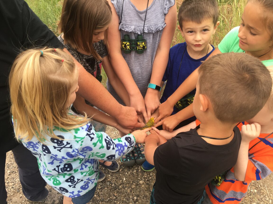 Elementary students holding a small yellow bird