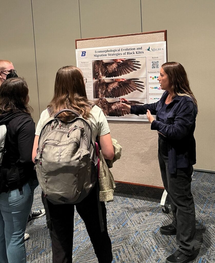 eden stands talking next to her poster, gesturing toward the photos of black kite wings. the title of the poster reads "ecomorphological evolution and migration strategies of black kites"