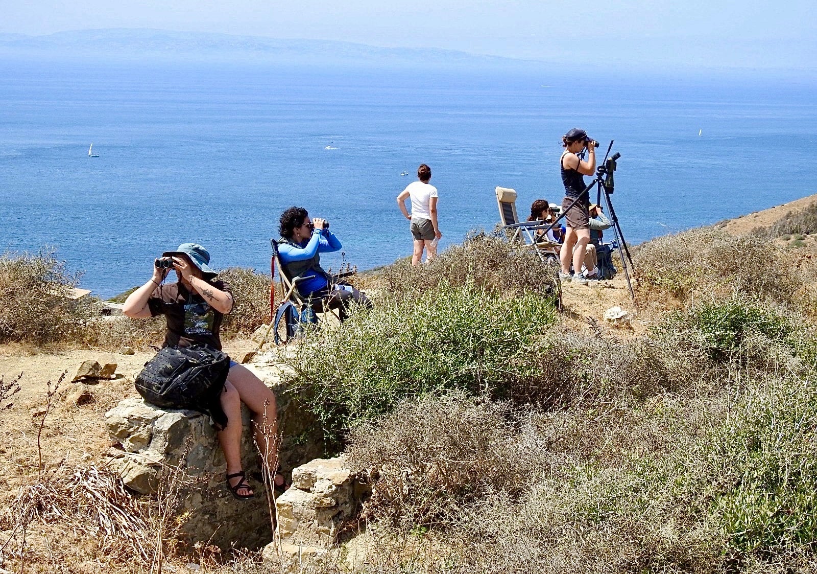 six people stand or sit along the edge of a hill with binoculars, spotting scopes, and camp chairs. They are all wearing warm weather gear and looking out toward distant horizons. over the edge of the steep hill is the ocean dotted with sailboats. in the hazy horizon over the ocean is the outline of a distant shore