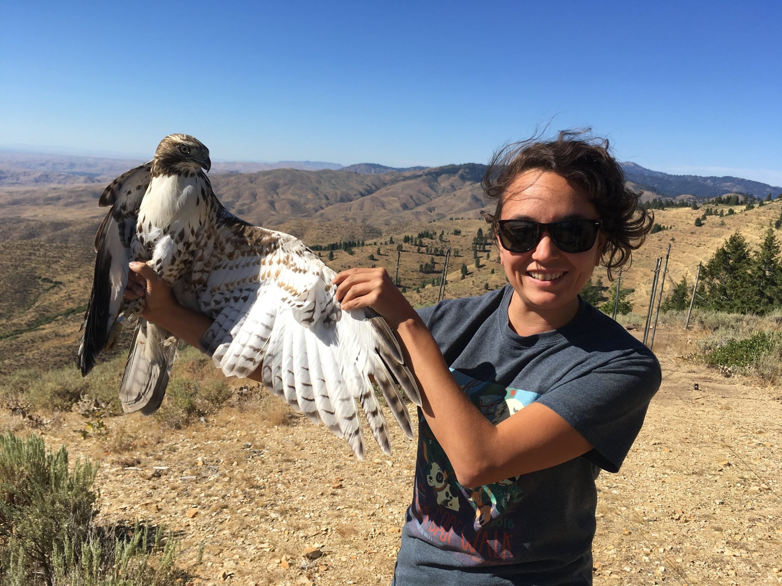 Joey is smiling wearing sunglasses and looking toward the camera. She's holding a large hawk with one wing spread open to show the bird's flight feathers.
