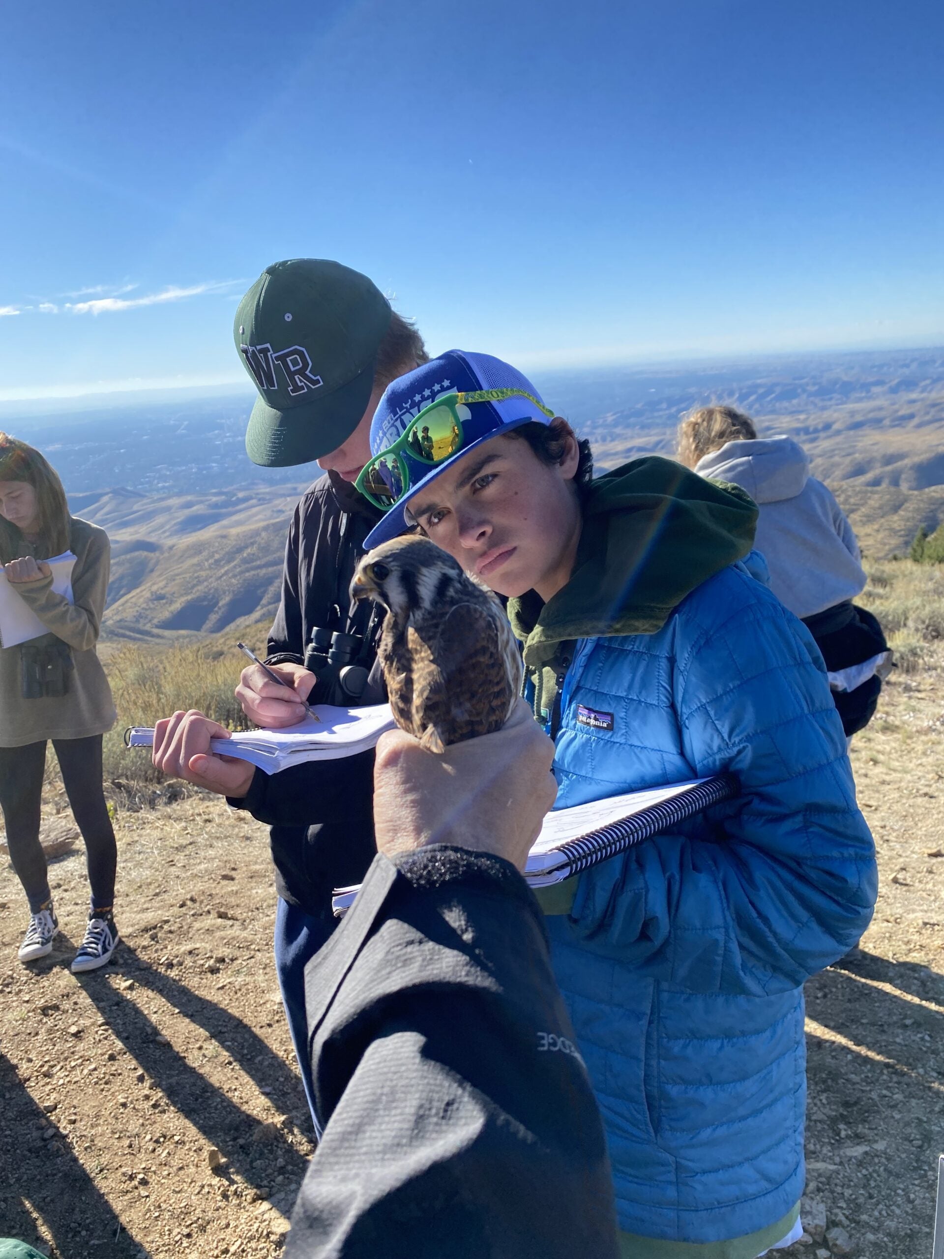 two students stand with notebooks. One is writing in his notebook while the other looks inquisitively at an american kestrel that is being held by biologist. The kestrel has a sharp, hooked falcon beak, black and white face patterning, and orange-and-black striped wings.