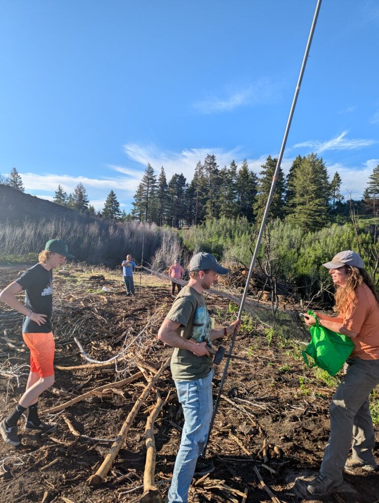 five people wearing baseball hats and field gear hold equipment and stretch out a songbird mist net. all around them are broken and scattered branches and bare dirt