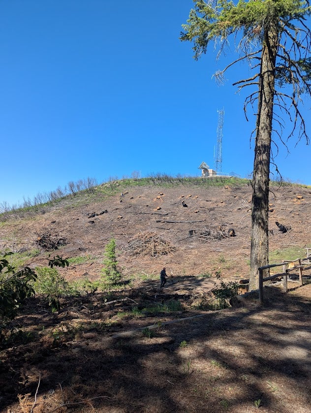 a bare hillside with sawn tree stumps. A few "slash piles" of burned branches. The characteristic lucky peak radio tower sits at the top of the hill