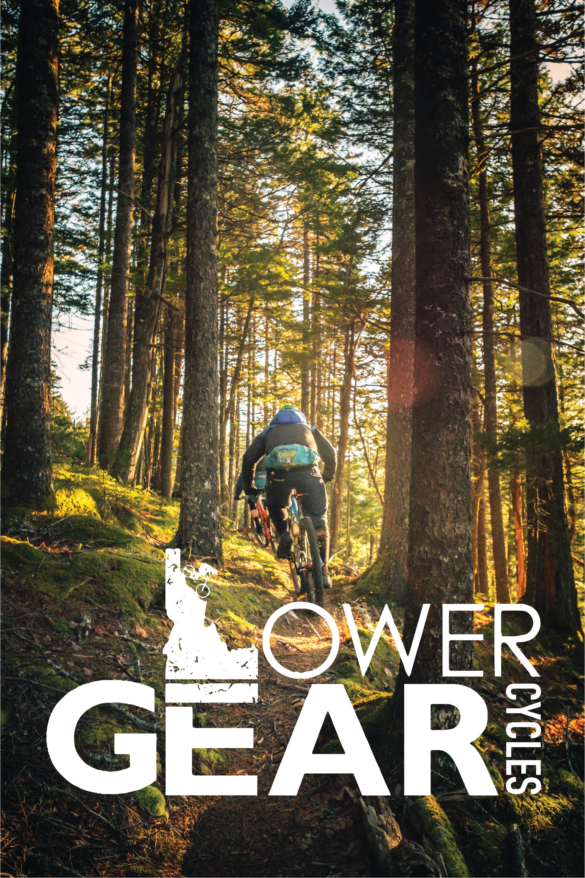 lower gear cycles ad