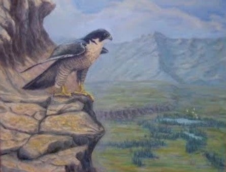 painting of an Idaho raptor