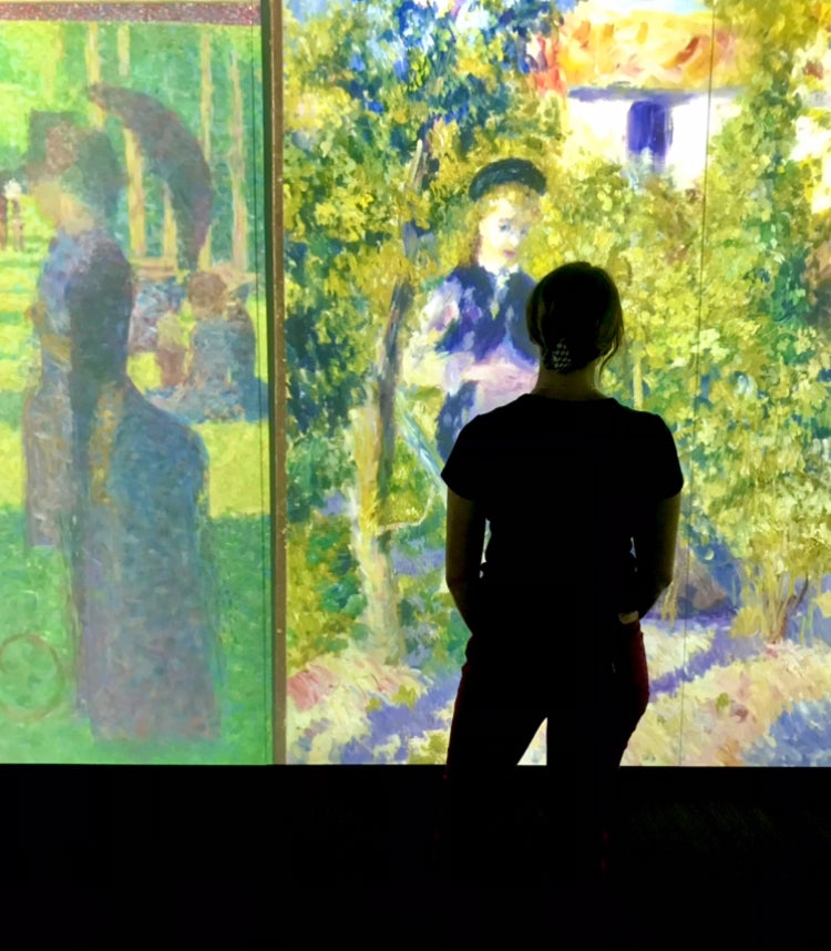 a student looks at impressionistic art