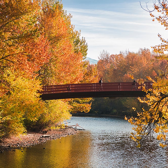 Friendship bridge in fall