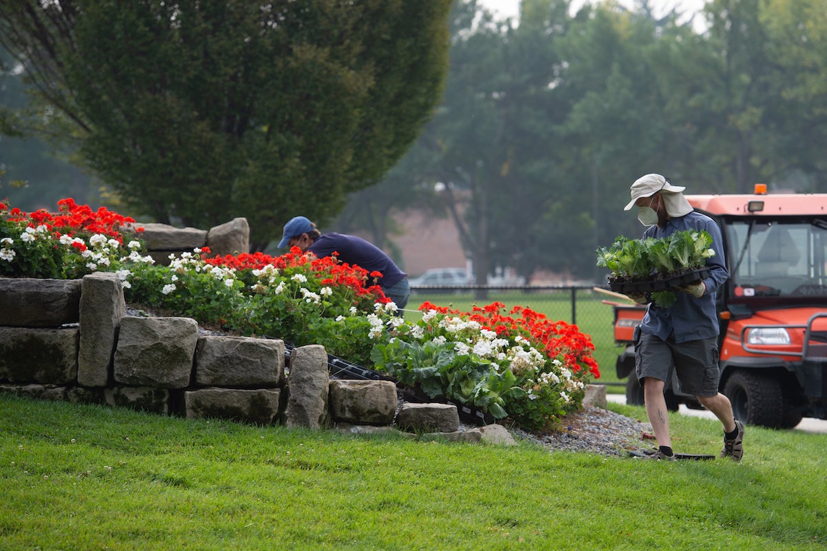 Landscapers tending to a red and white flowerbed