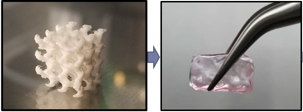 First image, 3D printing of ‘bone’, second image: hydrogel encapsulation of cells, provided by Uzer