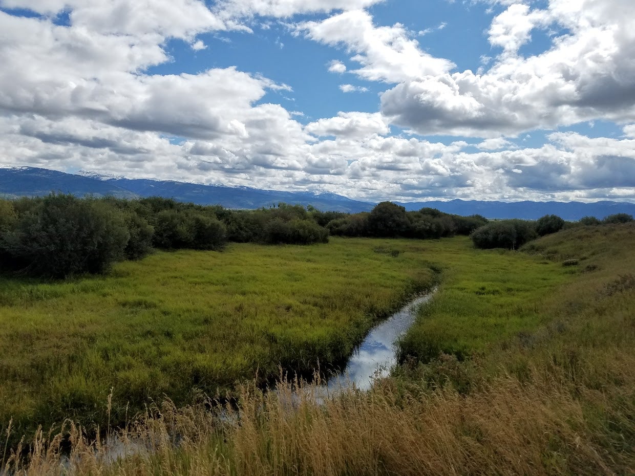 stream running through green valley under blue sky and fluffy white clouds