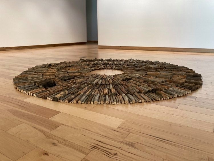 an art exhibit of rings of cut wood 
