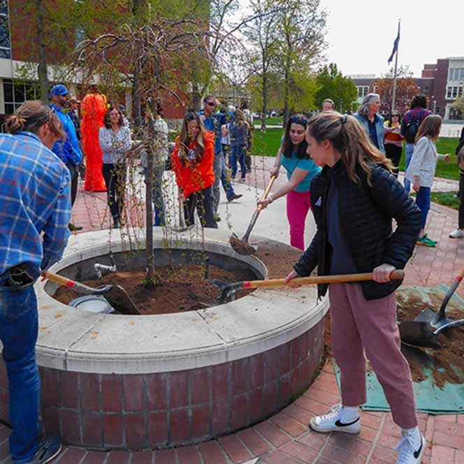 Students help plant new campus tree, 